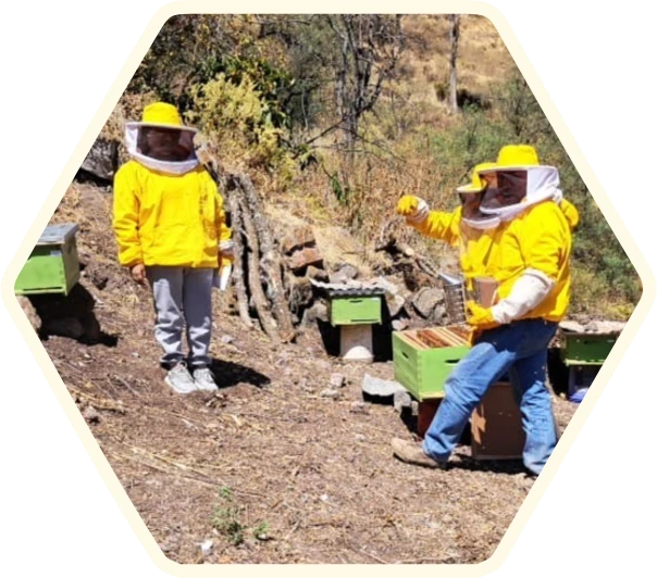 Imagen de apicultores