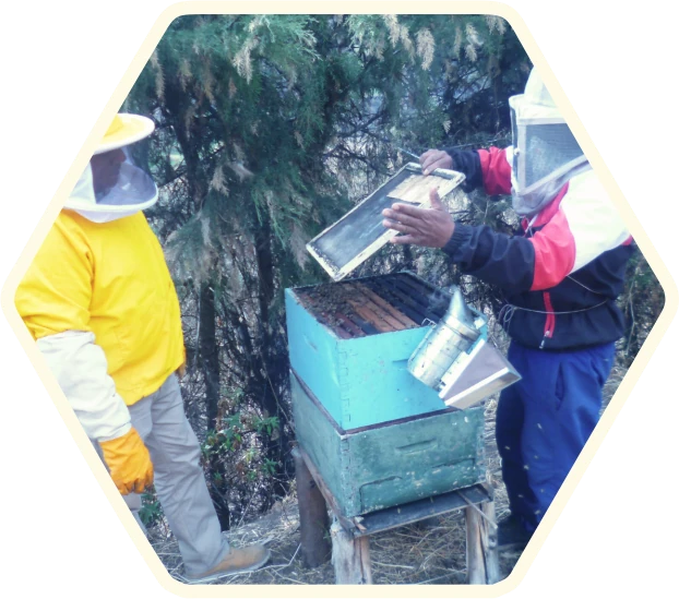 Imagen de apicultores